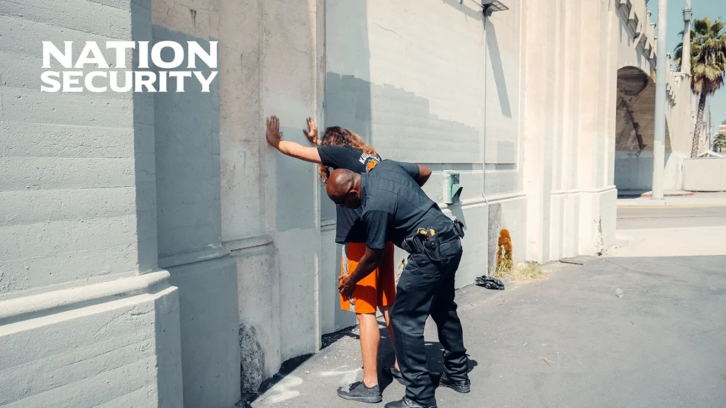 Professional security services